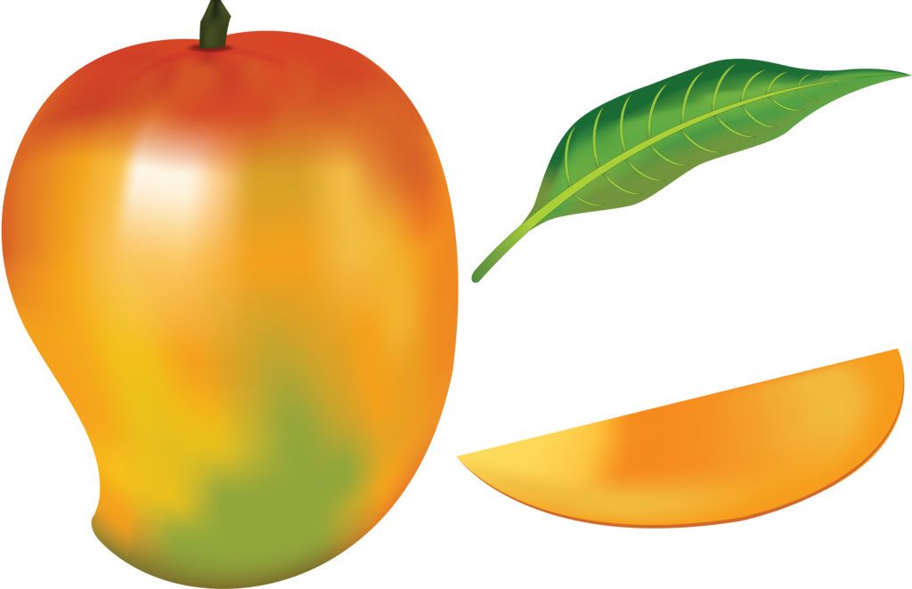 Mango Fruit By Navdbest On Deviantart Picture Royalty - Drawing Of A Mango Fruit (1024x662), Png Download