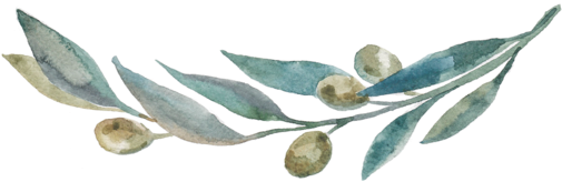 Olivebranch (1000x201), Png Download