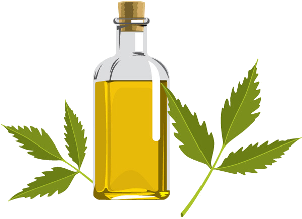 Lightbox Moreview - Neem Oil (600x456), Png Download
