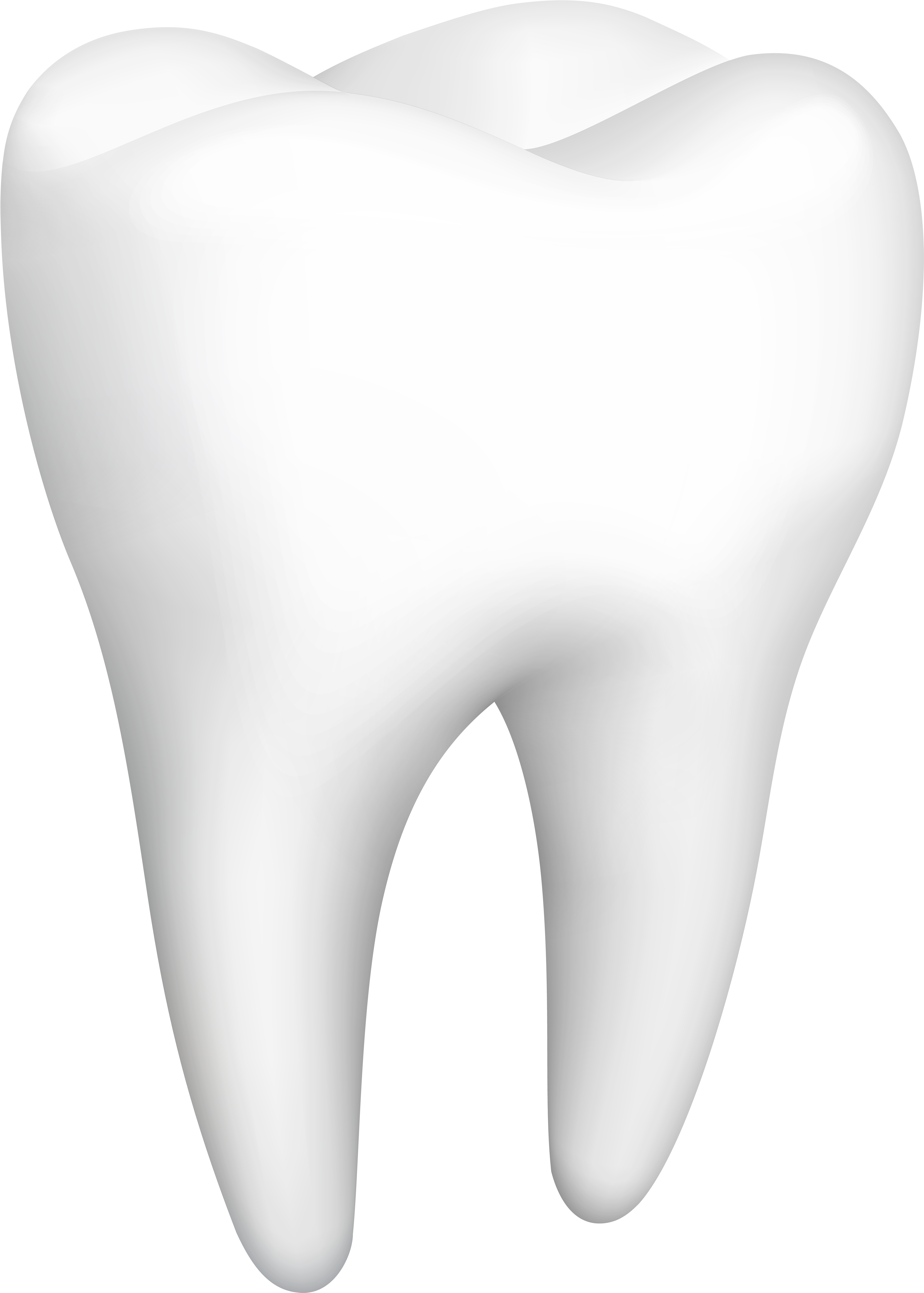 Tooth Png Clip Art - Moberi Dental Specialists (4305x6000), Png Download