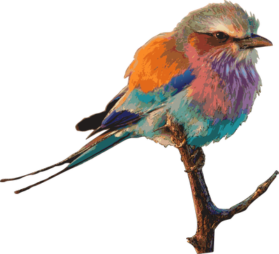 Tags - - Extra Long Fabric Bath Shower Curtain With 12 Hooks (400x364), Png Download