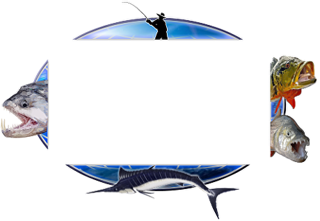 The Best Description For This Type Of Fishing In Papua - Alligator Gar (463x346), Png Download