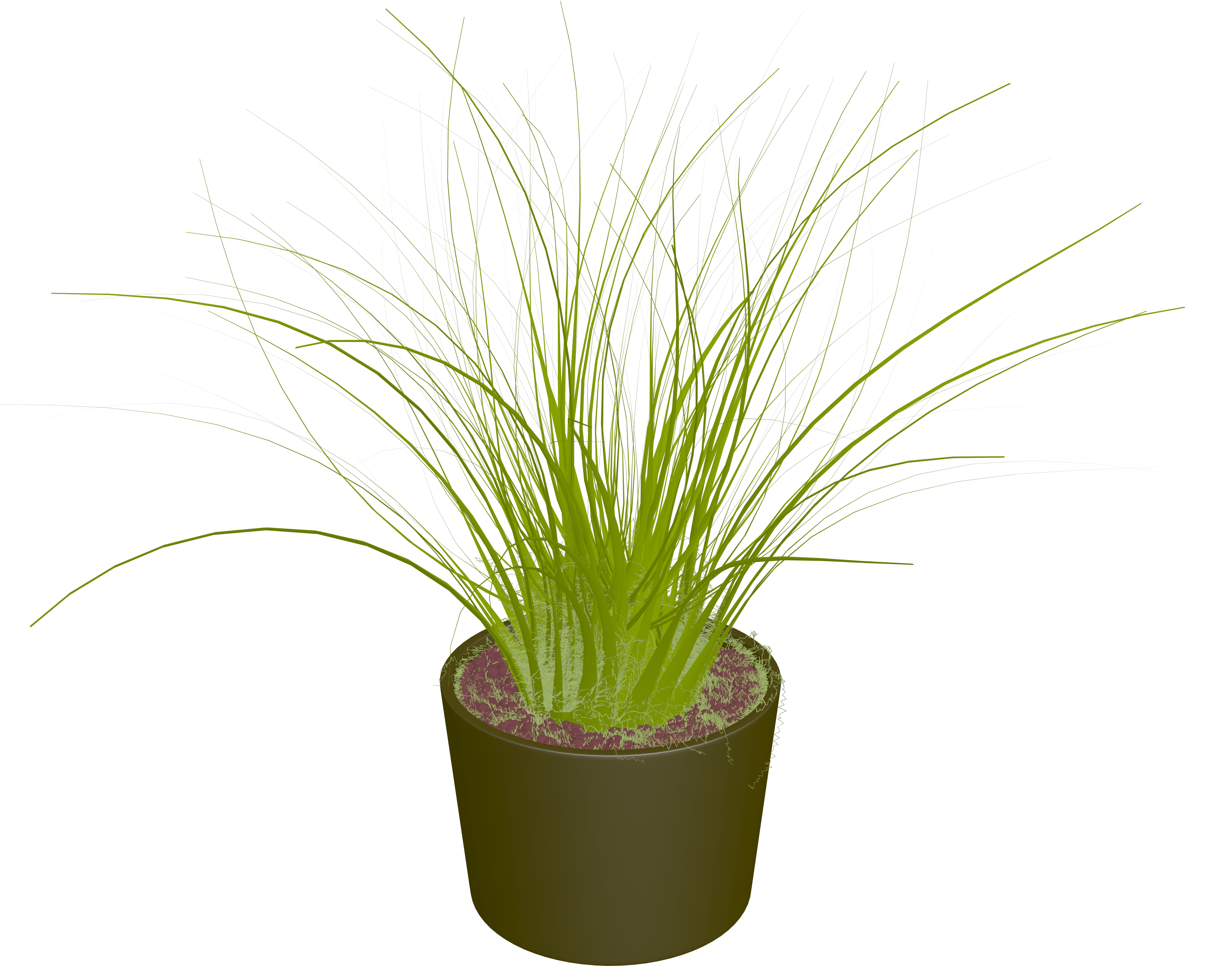 Cartoon Potted Plants, Gardening, Plant, Leaf Png Image - Sweet Grass (3976x3270), Png Download