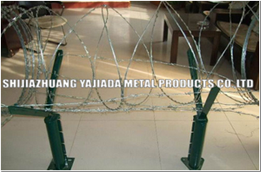 Products - Floor (366x366), Png Download