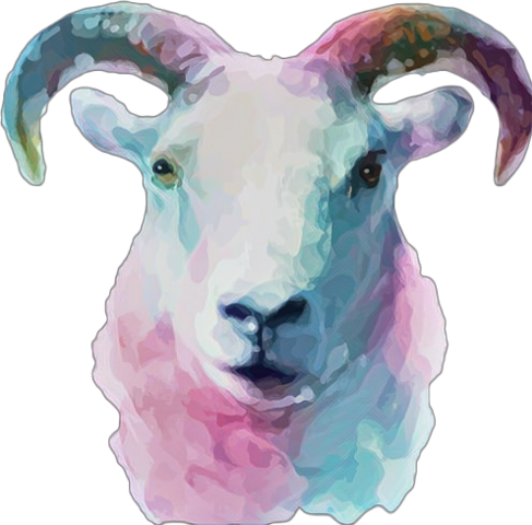 Beautiful Watercolor Goat Ceramic Coffee Mug (487x480), Png Download