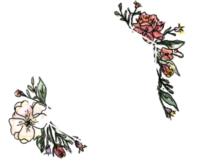 Photography (408x353), Png Download