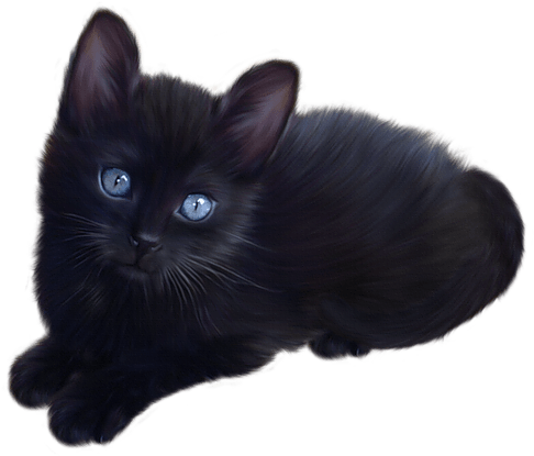 Cute Little Black Cat - Cute Black Cat Png (500x418), Png Download