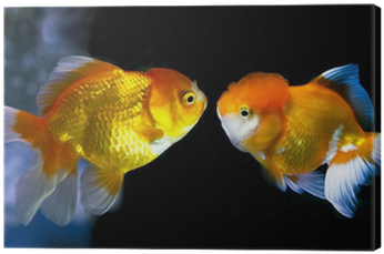 Goldfish In Aquarium - Aquarium (400x400), Png Download