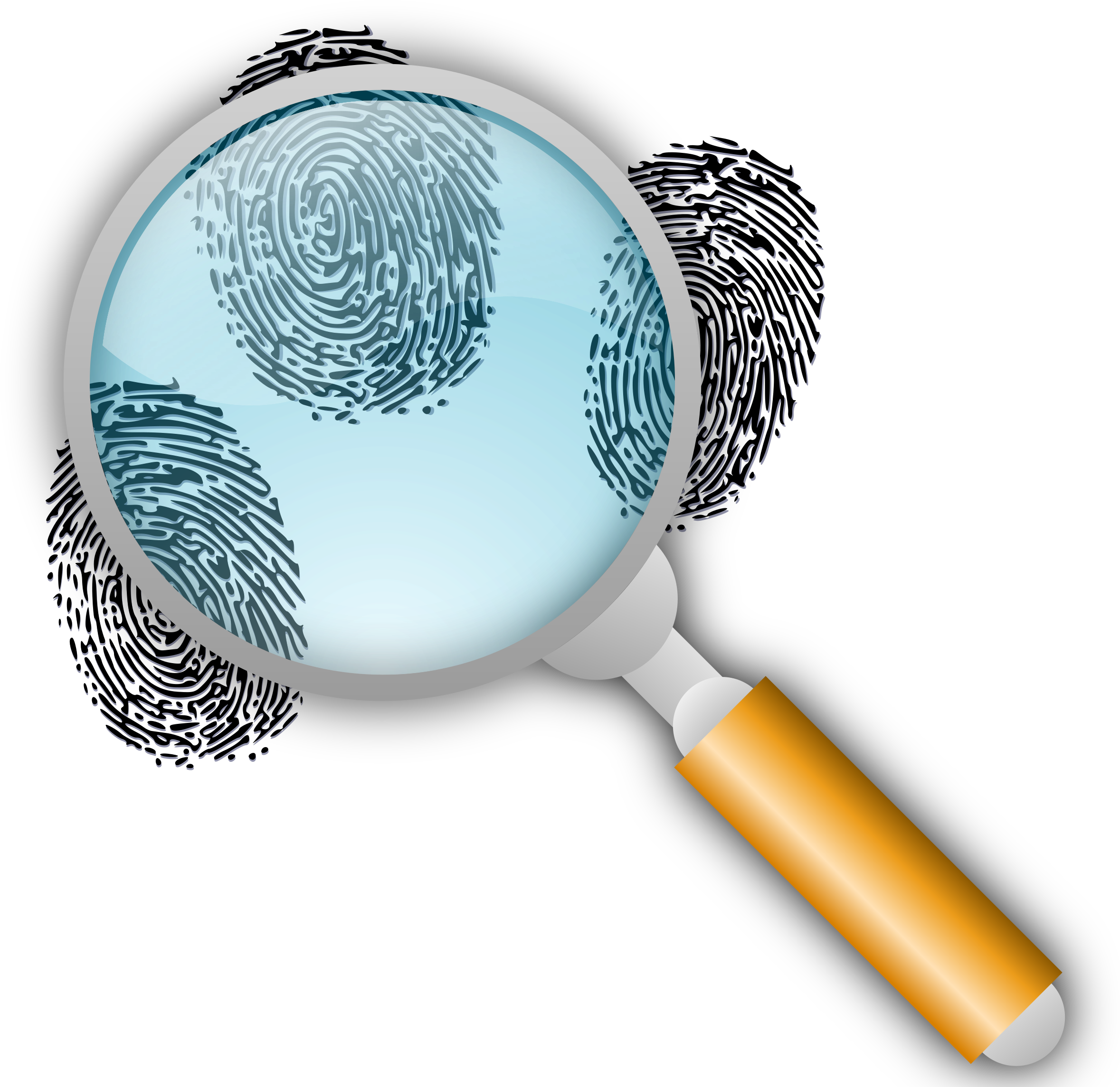 Big Image - Forensic Analyst (2400x2400), Png Download