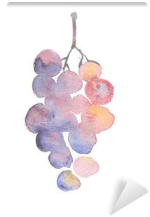 Rosy Grape Watercolor Sketch - Grape (400x400), Png Download