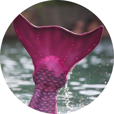 Making Your Mermaid Dreams Come True With Swimmable - Primärenergieverbrauch In Deutschland 2011 (374x375), Png Download