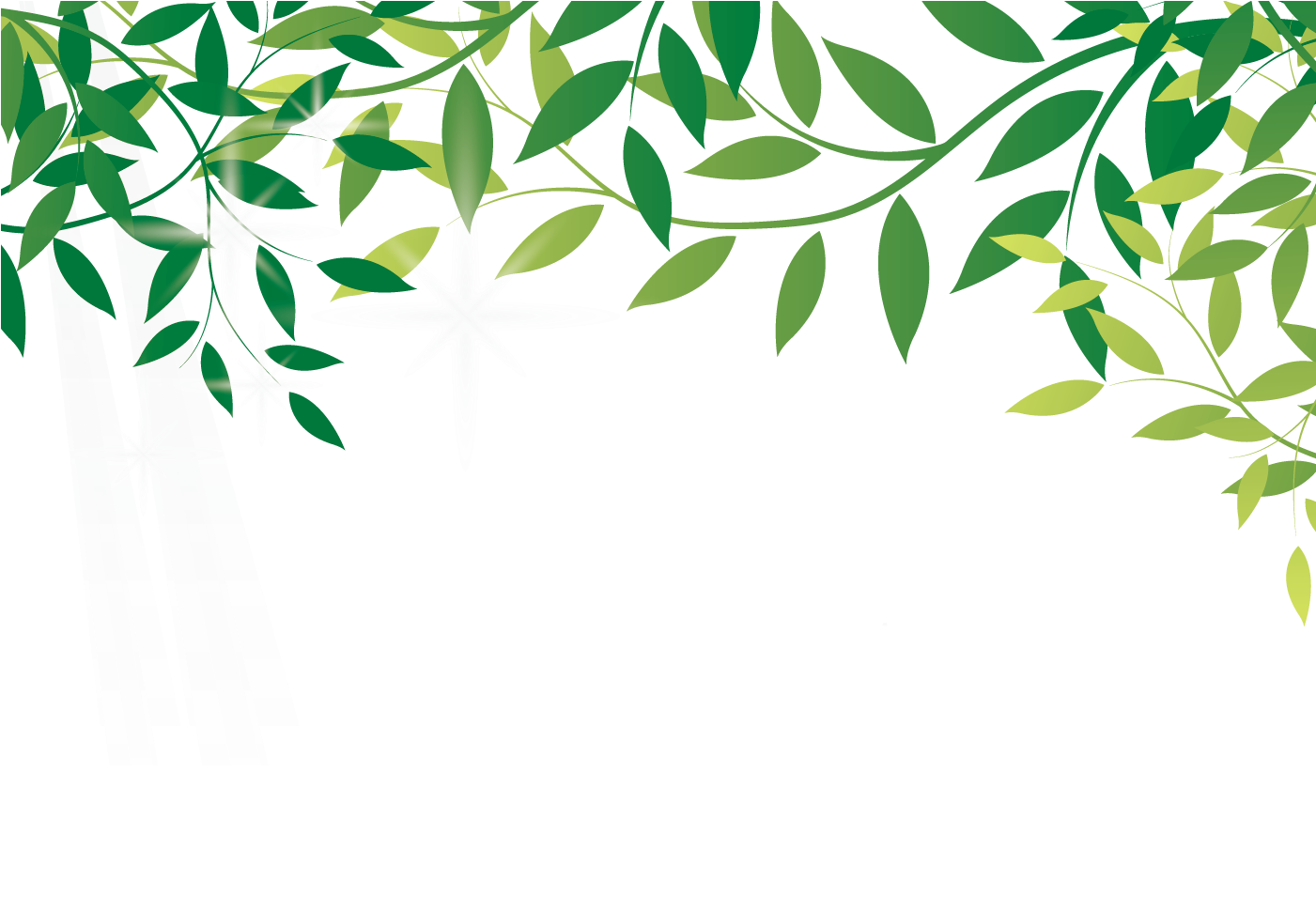 Amazon Com Earth Leaf Online Shopping Amazoncom - Amazon Rainforest Transparent (1400x980), Png Download