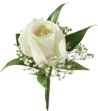 White Rose Boutonniere - Boutonnière (500x611), Png Download
