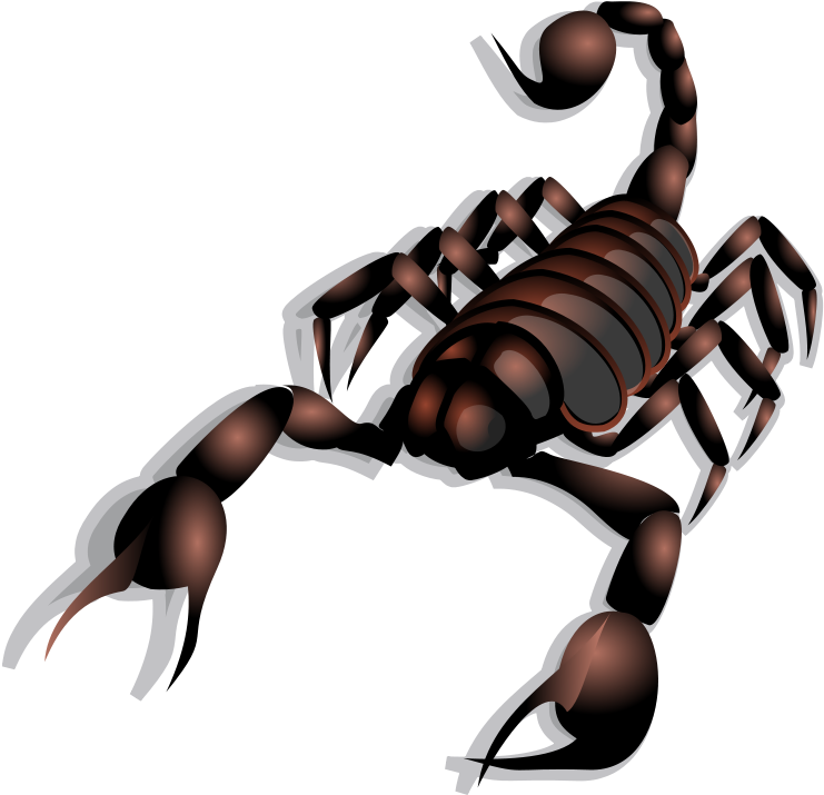 Clip Art Lobster - Scorpion Clip Art (800x800), Png Download