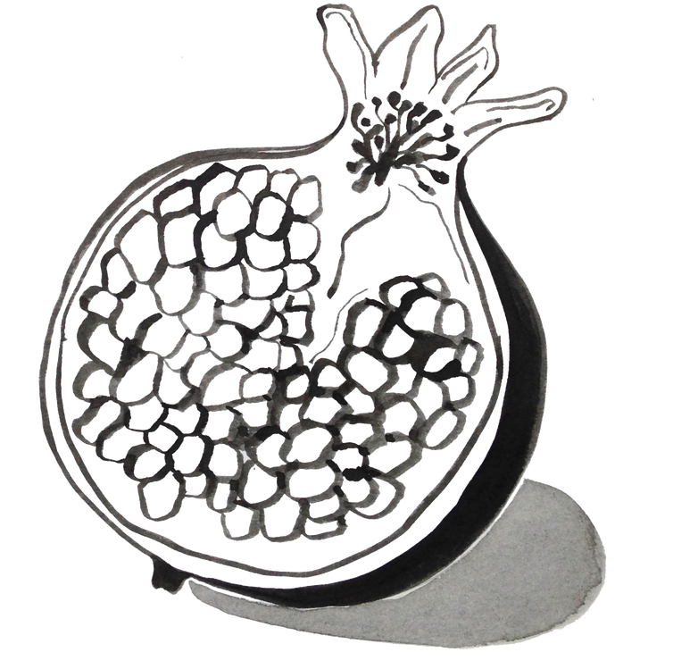 Pomegranate Drawing At Getdrawings - Pomegranate Drawing Transparent (800x800), Png Download