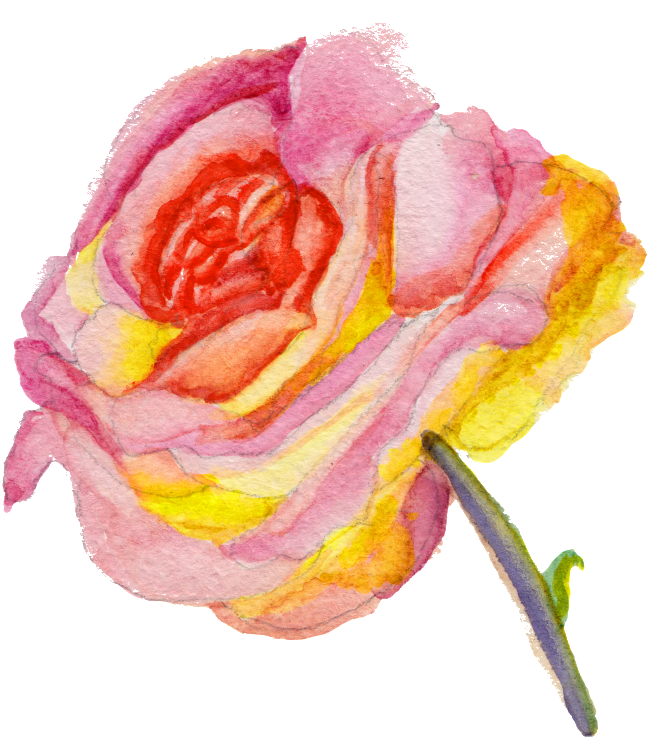 Transparent Ornament Material For Beautiful Fashion - Chalkboard Watercolor Roses Hysterectomy Humorous Get (650x737), Png Download