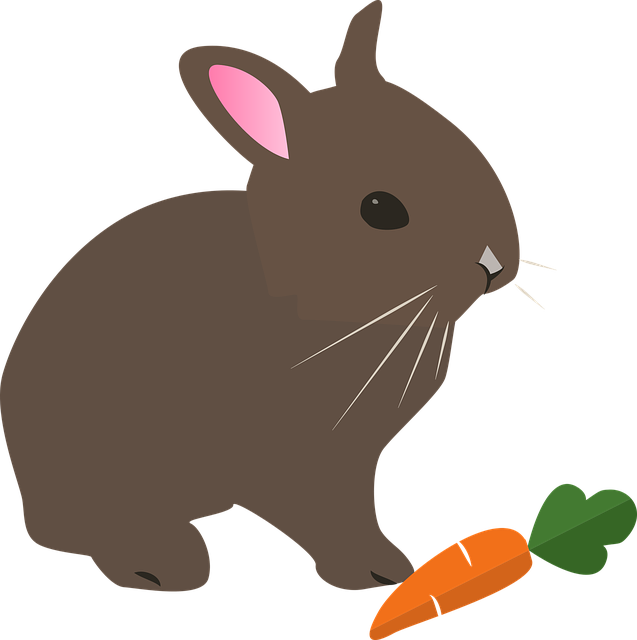 Bunny - Rabbits In Cartoon (500x502), Png Download