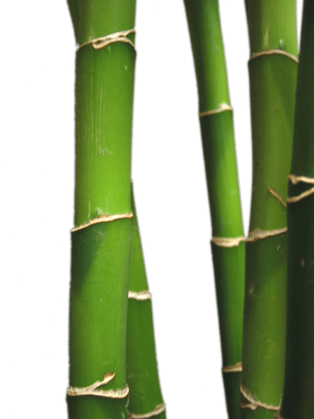 Bamboo Spa Png (450x600), Png Download