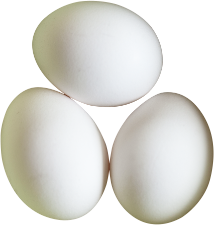 Eggs Png Transparent Image - Eggs Png (500x495), Png Download