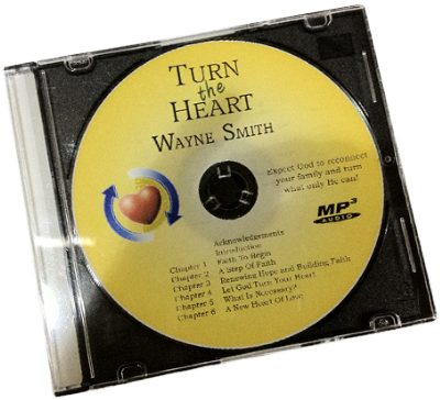 100 Cd-r's In Slimline Jewel Cases - Cd (409x367), Png Download