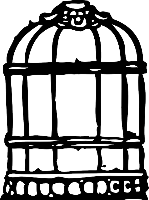 Cage, Birdcage, Simple - Birdcage Clipart (477x640), Png Download
