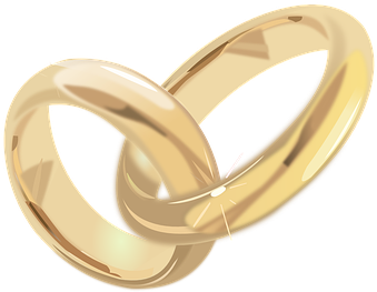 Wedding Rings Marriage Wedding Rings Jewel - Just Married Sticker (rectangle) (442x340), Png Download