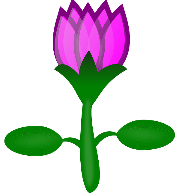 Water Lily, Lotus, Flower, Pink, Plant, Water - Cartoon Flowers No Background (604x640), Png Download