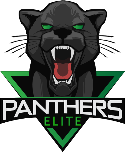 Team's Logo Panthers Elite - Panthers Esports Fifa (500x500), Png Download