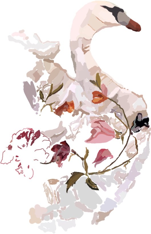 Prev / Next (858x1144), Png Download