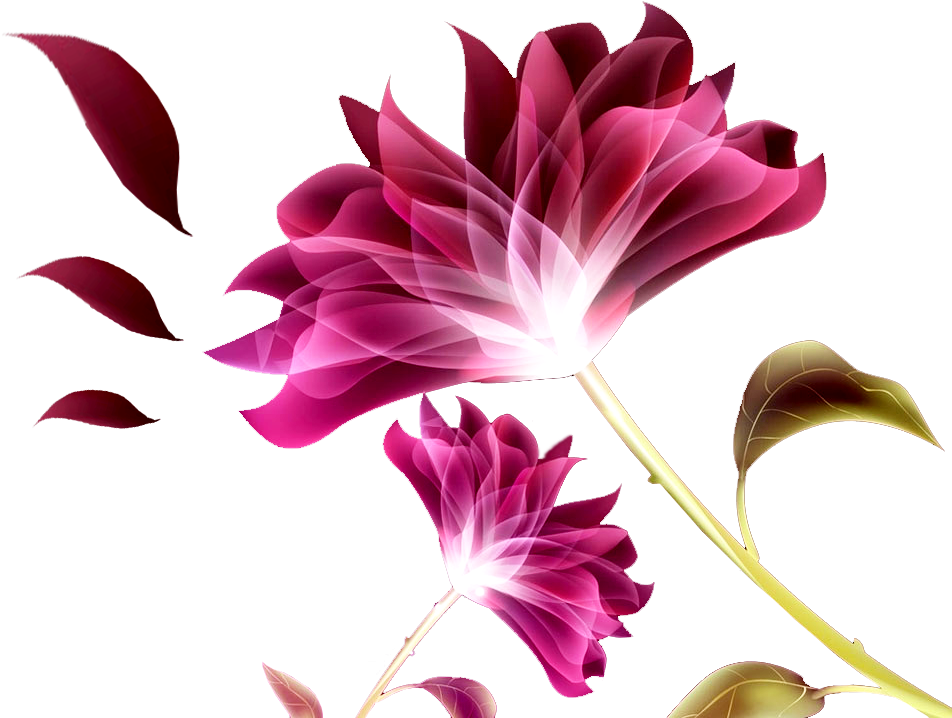 Flores Abs- Png - Doogee X10 Black Mobile Phone (1024x768), Png Download