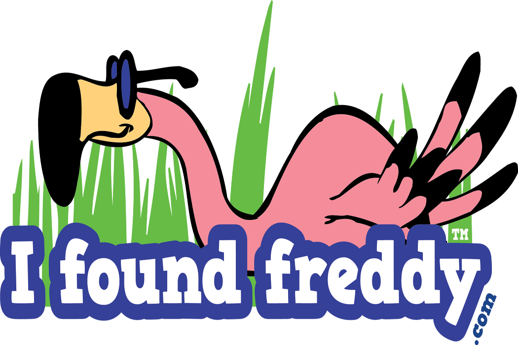 Found A Flamingo (1050x700), Png Download