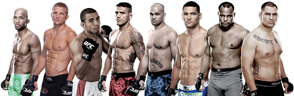 Weight Classes - Bantamweight Weight Classes Mma (1000x324), Png Download