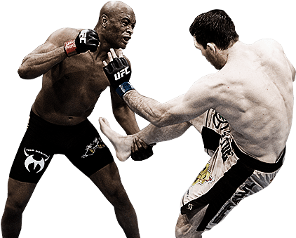 Mmai - Ufc Png (456x467), Png Download