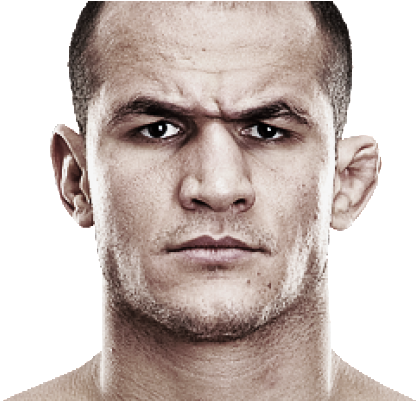 Ufc Fight Night - Junior Dos Santos Head (864x400), Png Download