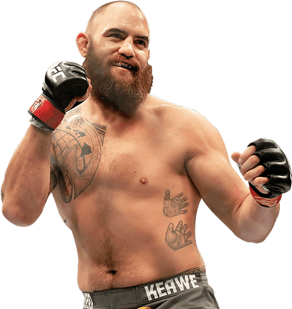 Sky Ufc Fighter 2 - Fanatics Authentic Travis Browne Ultimate Fighting (900x700), Png Download