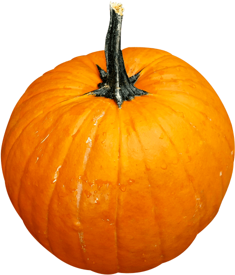 Free Png Pumpkin Png Images Transparent - Pumpkin Png (481x552), Png Download