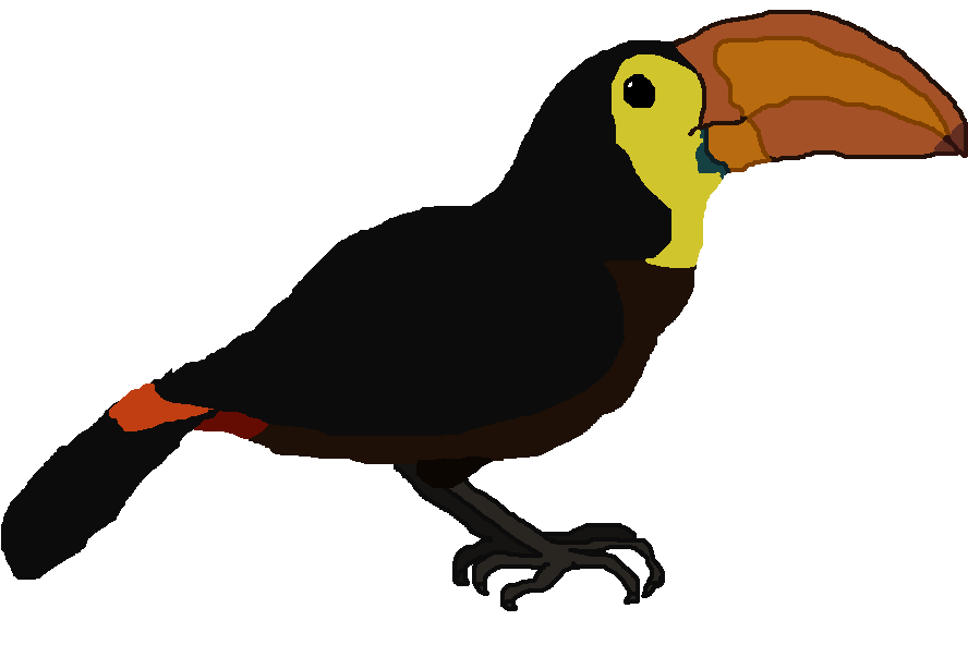 Taylor's Toucan - Clip Art (951x602), Png Download