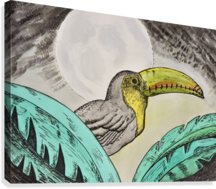 Toucan - Hornbill (429x375), Png Download