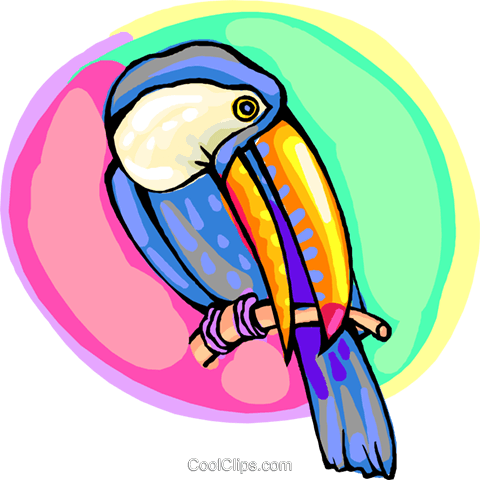 Toucan On A Branch Royalty Free Vector Clip Art Illustration (480x480), Png Download