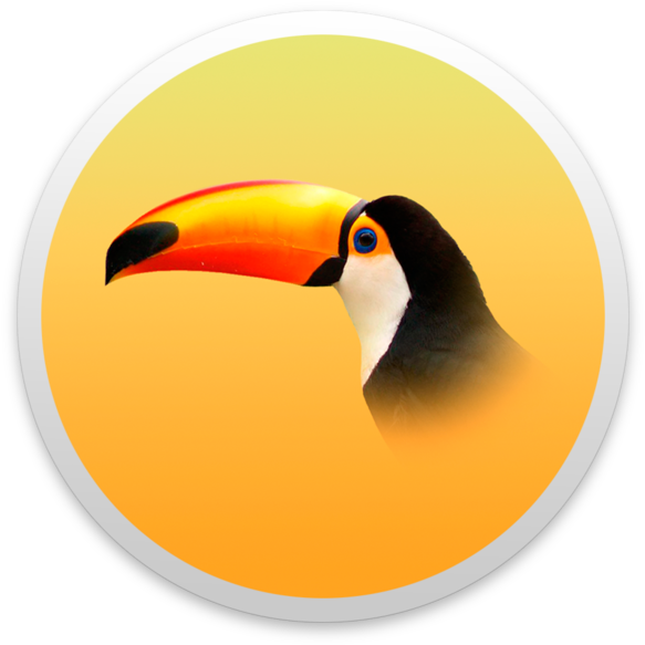 Toucan (630x630), Png Download