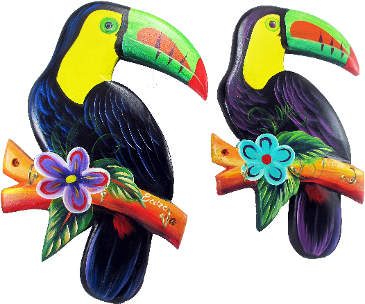 Toucan (567x514), Png Download