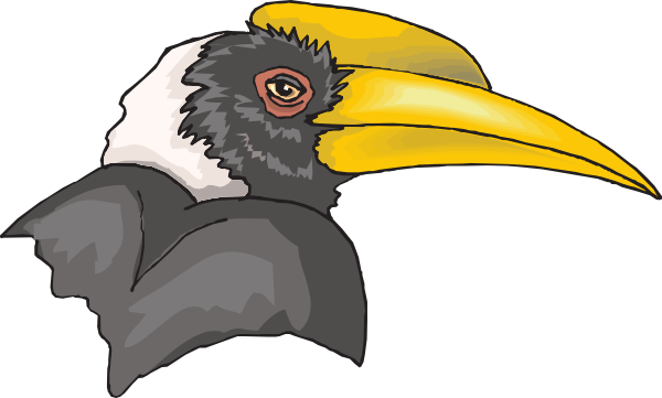 Hornbill Clipart (600x361), Png Download