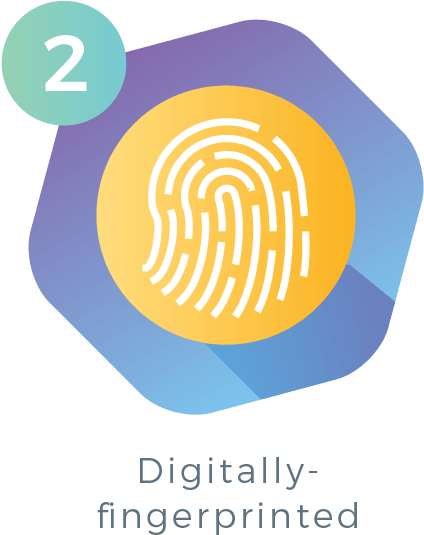 Circle (445x591), Png Download