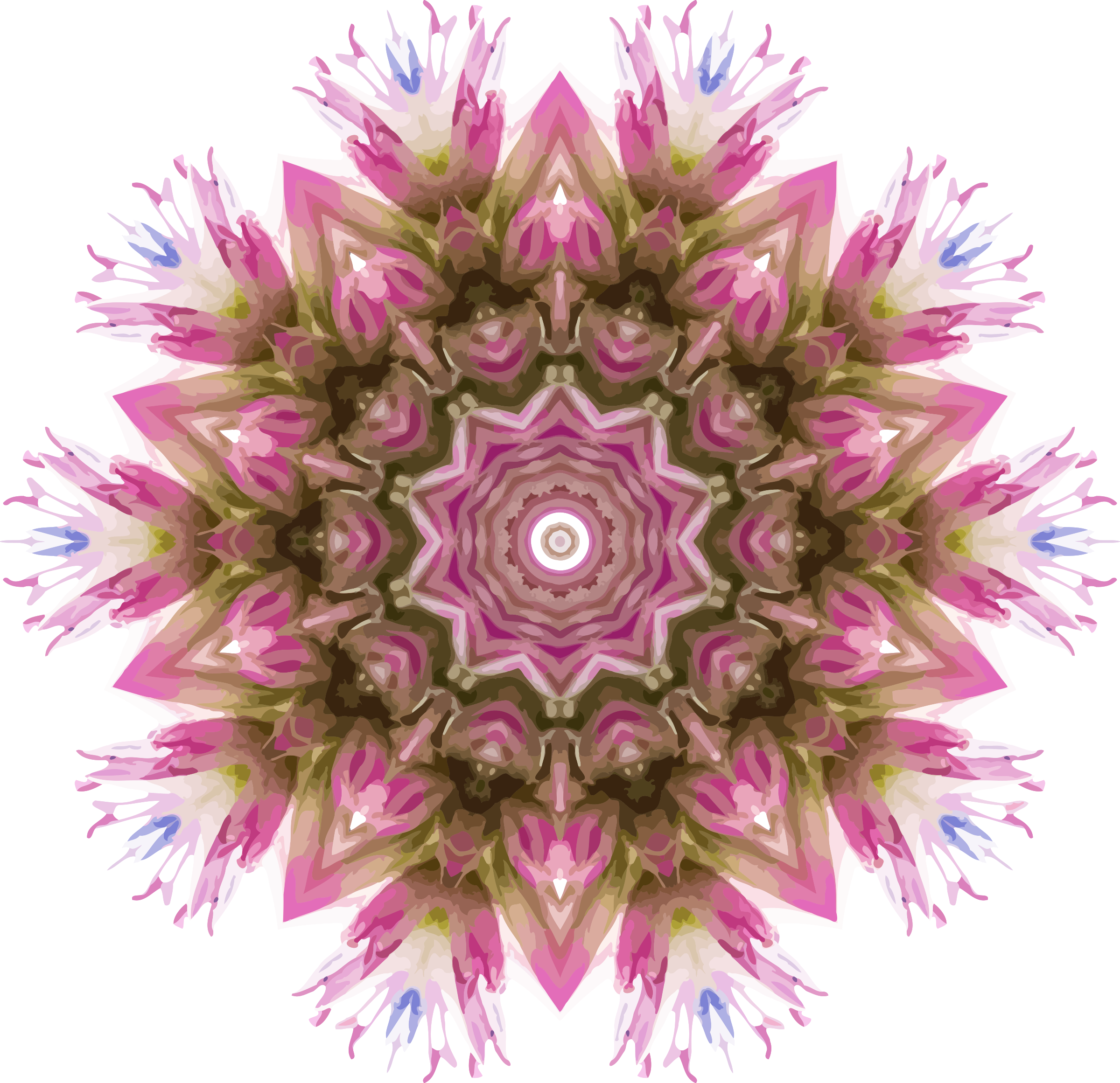 This Free Icons Png Design Of Wildflower Kaleidoscope (2400x2322), Png Download