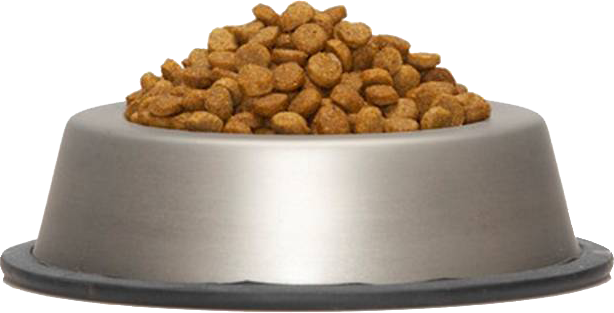 Dog Food Bowl Png - Dog Food Bowl Transparent (614x313), Png Download