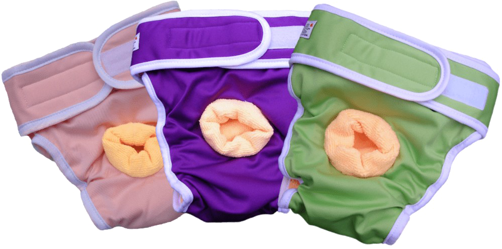 Diaper Png Picture - Incontinence Pads For Dogs (1000x854), Png Download