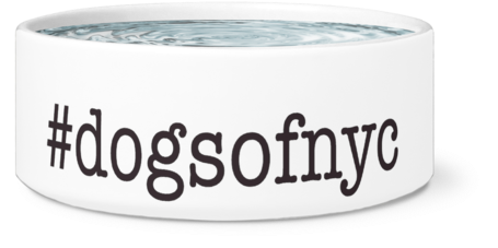 #dogsofnyc Dog Bowl, White - Hhe Commerce Paws And Bones Dog Bowl (7 Color Options!) (500x500), Png Download
