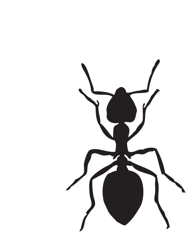 Blindfold - Black Ant Clip Art (641x800), Png Download