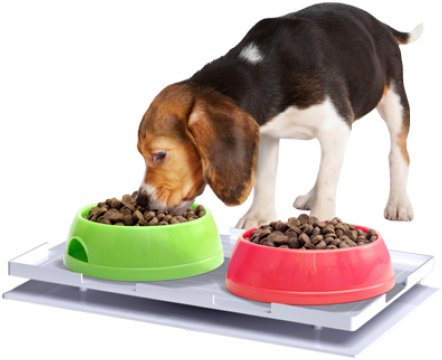 Ant Proof Plate - Ant Proof Feeding Mat (500x500), Png Download