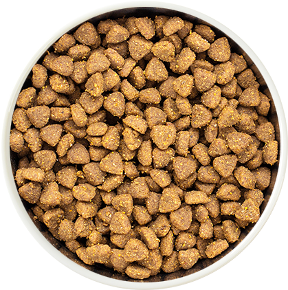 Dry Pet Food In A Bowl - Pet Food (550x480), Png Download